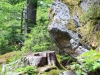 Grosse Kanzel Nationalpark Bayerischer Wald