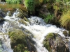 Grosse Kanzel Nationalpark Bayerischer Wald