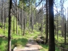 Wandern Siebensteinkopf Reschbachklause Finsterau Nationalpark Bayerischer Wald