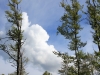 Wandern Siebensteinkopf Reschbachklause Finsterau Nationalpark Bayerischer Wald