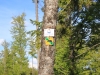 Wandern Siebensteinkopf Reschbachklause Finsterau Nationalpark Bayerischer Wald