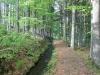 Wandern Siebensteinkopf Reschbachklause Finsterau Nationalpark Bayerischer Wald