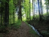 Wandern Siebensteinkopf Reschbachklause Finsterau Nationalpark Bayerischer Wald