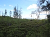 Wandern Siebensteinkopf Reschbachklause Finsterau Nationalpark Bayerischer Wald