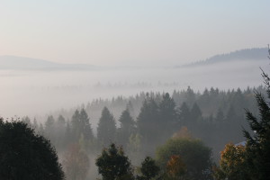 Herbst Wandern Bayerischer Wald