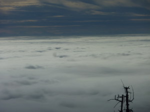 Dreisessel Bayerischer Wald Wandern Herbst