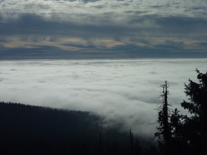 Wandern Dreisessel Bayerischer Wald Wandern