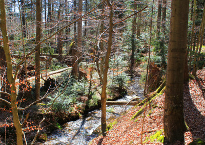 Seelensteig Nationalpark Bayerischer Wald