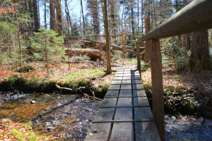 Seelensteig Wandern Bayerischer Wald