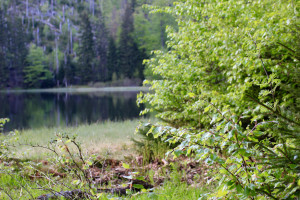 Rachelsee Nationalpark Bayerischer Wald