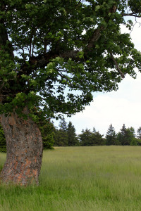 Schachtenwanderung Bayerischer Wald