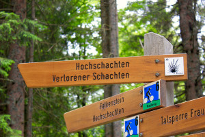 Wandern Schachten Bayerischer Wald Nationalpark