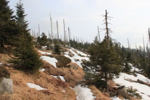 Wandern Dreisessel Bayerischer Wald