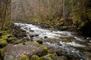 Wolfsteiner Ohe Bayerischer Wald