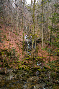 Wildbachklamm Buchberger Leite Freyung Ringelai