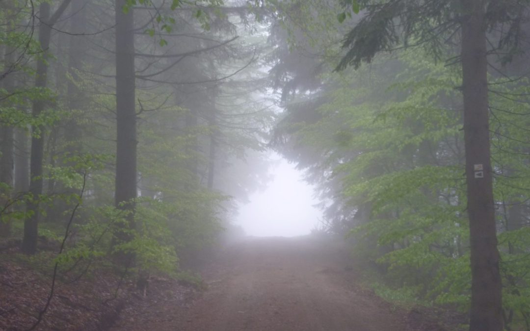 Lusenwanderung im dichten Nebel