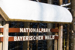 Winter im Nationalpark Bayerischer Wald