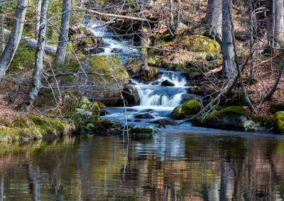 Sagwasserklause im Nationalpark Bayerischer Wald