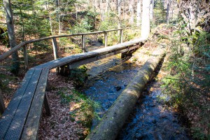 Wandern auf dem Seelensteig im Bayerischen Wald