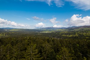 Landschaft Bayerischer Wald