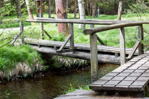 Aufichtenwaldsteg Wandern Nationalpark Bayerischer Wald