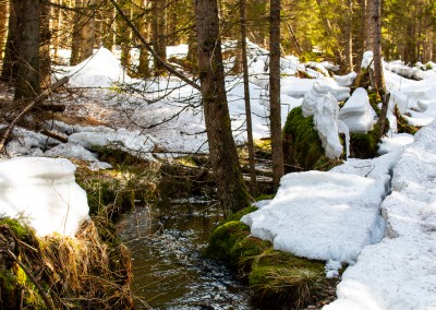 Waldhüttenbach Bayerischer Wald Spiegelau