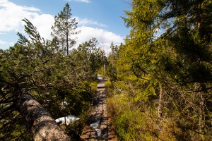 Wandern im Bayerischen Wald