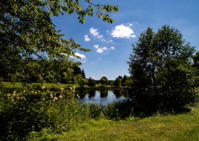 Kurpark Spieglau Bayerischer Wald