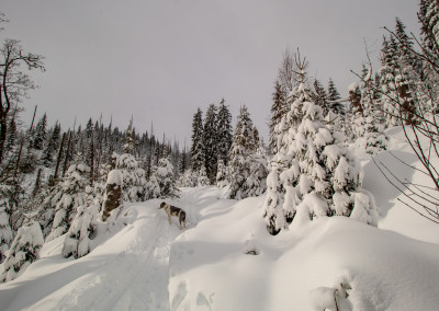 Wandern im Winter auf dem Finsterauer Lusensteig