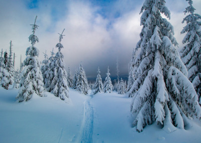 Winterwandern im Bayerischen Wald