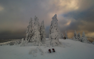 Der Finsterauer Lusensteig im Winter