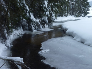 Der Saussbach im Winter