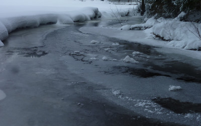 Kleine Schneeschuh Wanderung am Saussbach