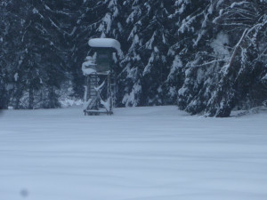 Winterliche Landschaft