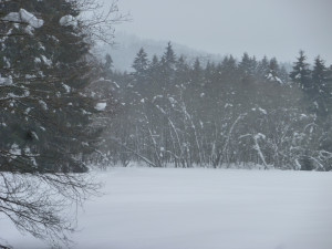 Winterliche Landschaft