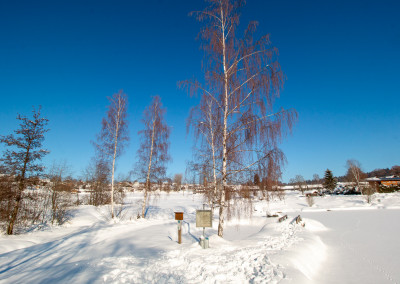 Winter in Neuschönau