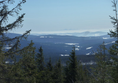 Ausblick vom Siebensteinkopf im Bayerischen Wald