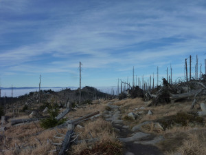 Wandern Dreisessel Bayerischer Wald